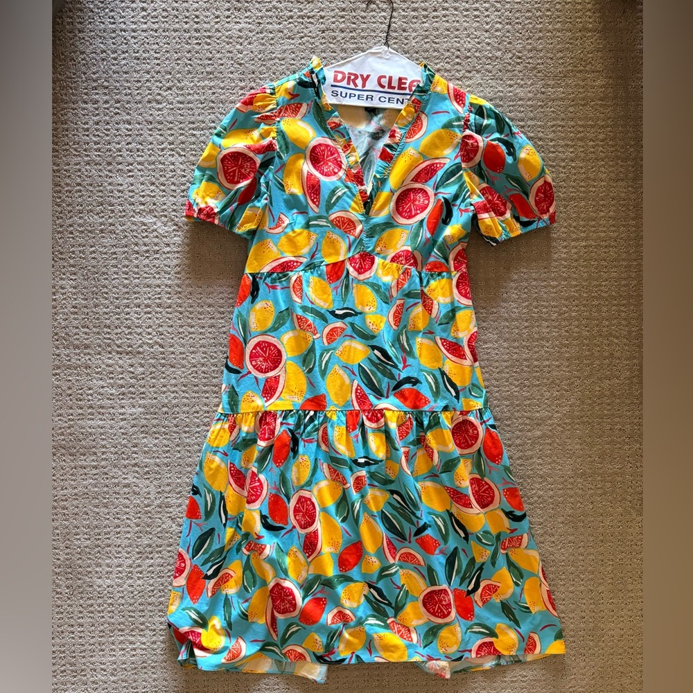 Colorful Citrus Print Women’s Dress
